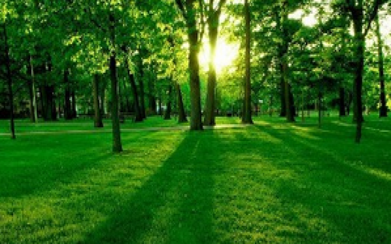 環境在線監控方案